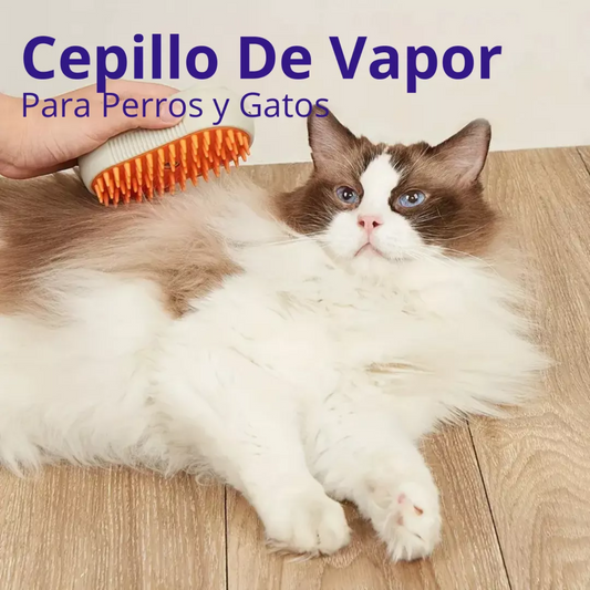 🐾 Cepillo Para Mascotas a Vapor Recargable – 3 en 1 Limpieza, Masaje y Aseo