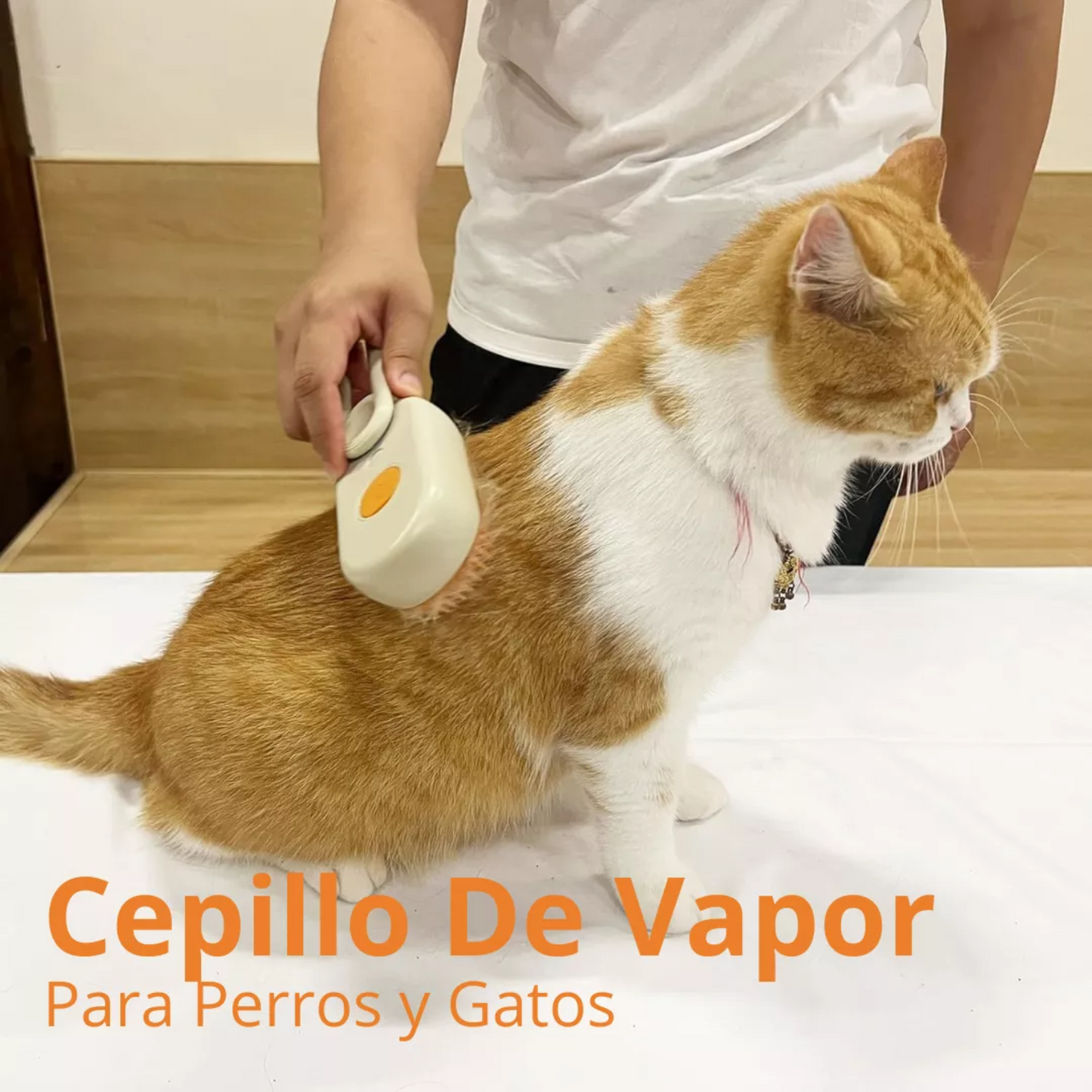 🐾 Cepillo Para Mascotas a Vapor Recargable – 3 en 1 Limpieza, Masaje y Aseo