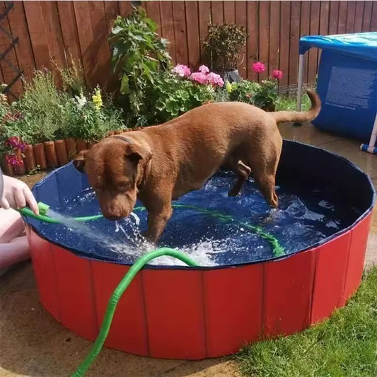 🐶 Piscina Plegable para Mascota 80x20 cm – Diversión y Refresco en Verano